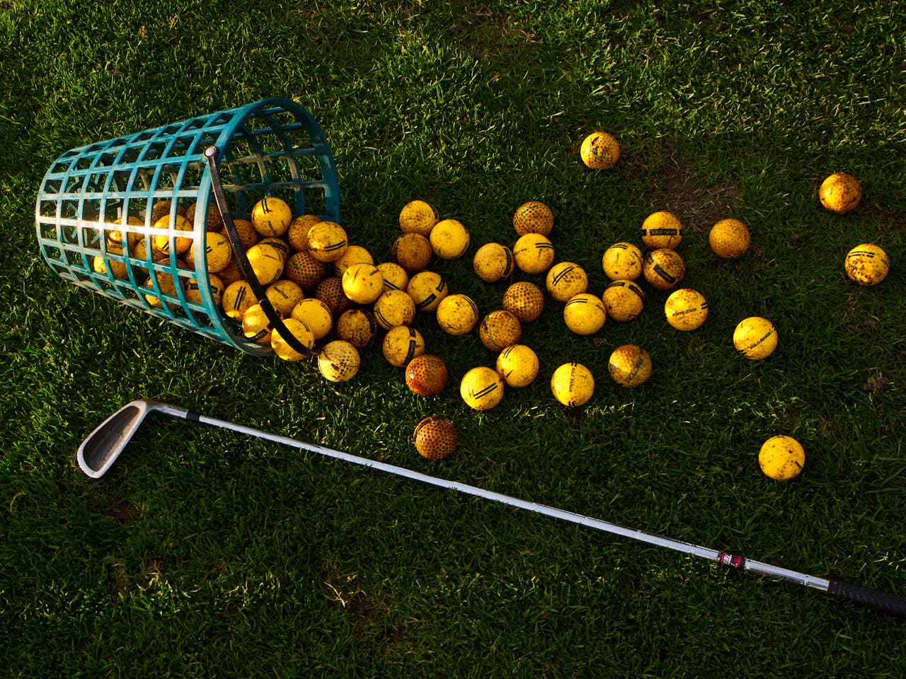 Golf balls spilled from practice basket on driving range grass