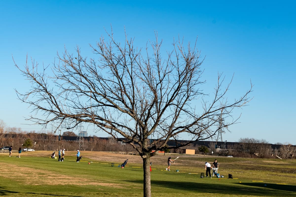 How to Practice at the Driving Range Effectively