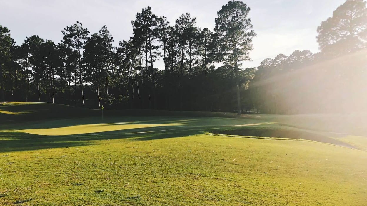 An elevated green ringed by native sand and longleaf pines: the pine-and-sand look that defines golf around Pinehurst, North Carolina.