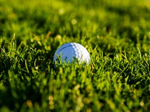 Titleist Pro V1 2025 Review: Robot Data and Handicap Verdict