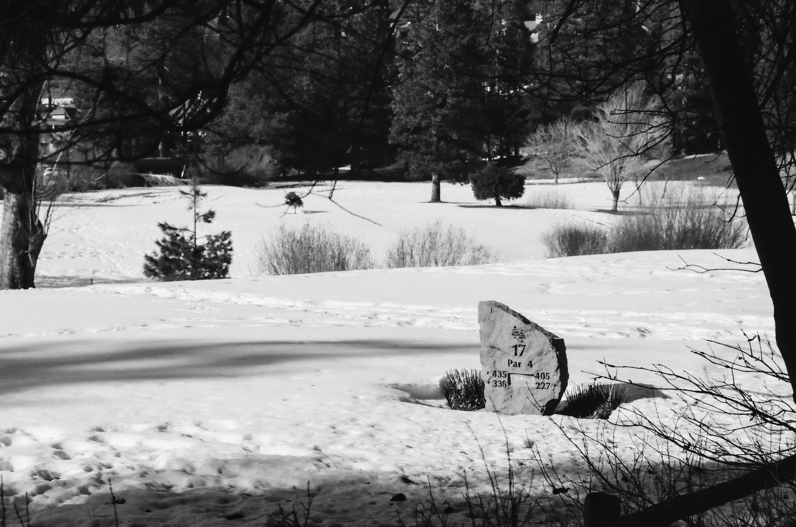 step-by-step-guide-to-building-a-winter-golf-training-program-launch